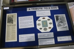 Tribute_1_633cd
