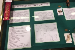 Cindy_Calhoun_-_IMG_5284_28129
