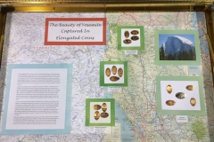 Cindy_Calhoun_-_IMG_5376