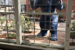 Cindy_Calhoun_-_IMG_7726