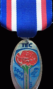 TEC 2019 Enameled Convention Badge Chicago